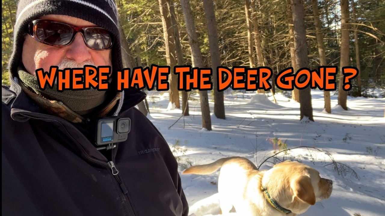 Where have the Deer gone ?