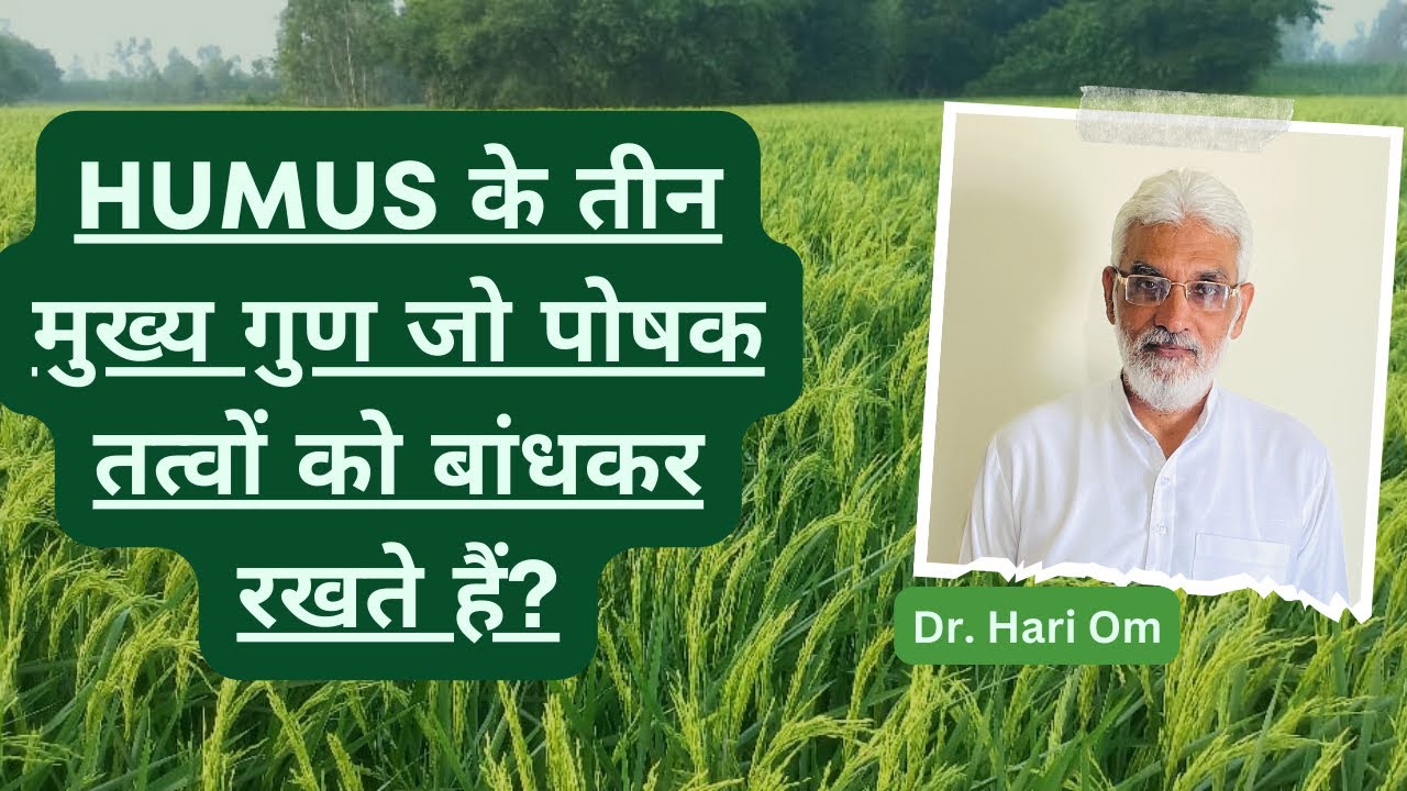Video 71: पोषक तत्वों को जमीन में कैसे पकड़ कर रखें?