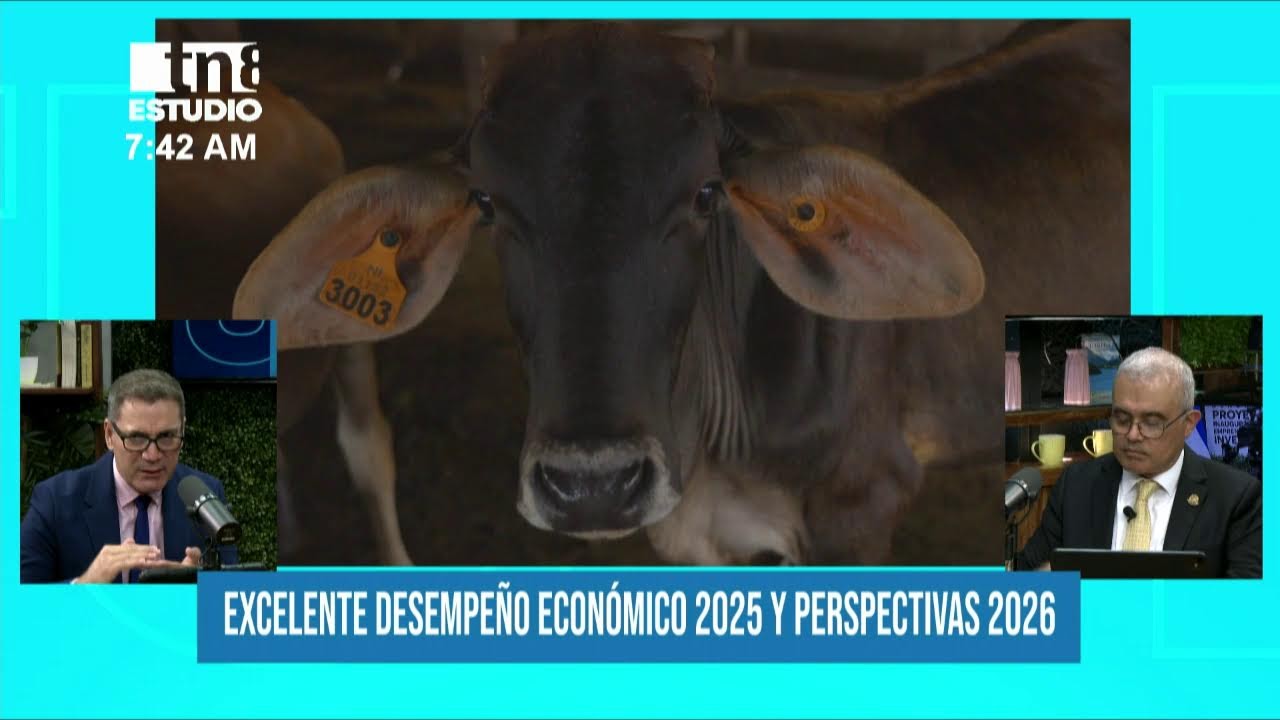 Estudio TN8 |  Perspectivas 2026: ¿Por qué la economía de Nicaragua seguirá creciendo este año?