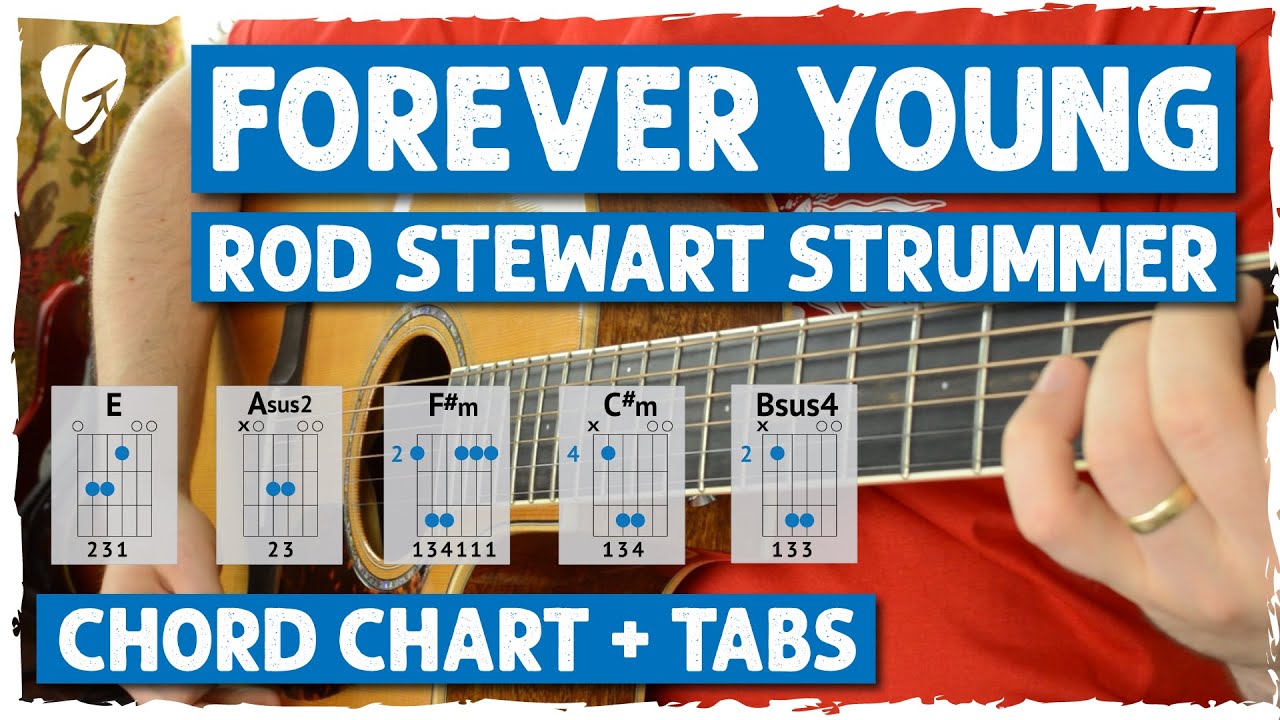 How To Play 