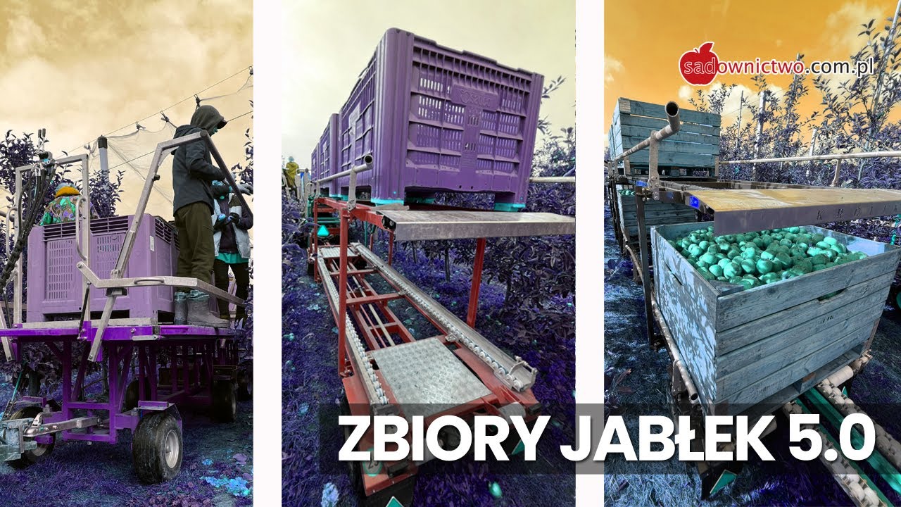 ZBIORY JABŁEK 5.0