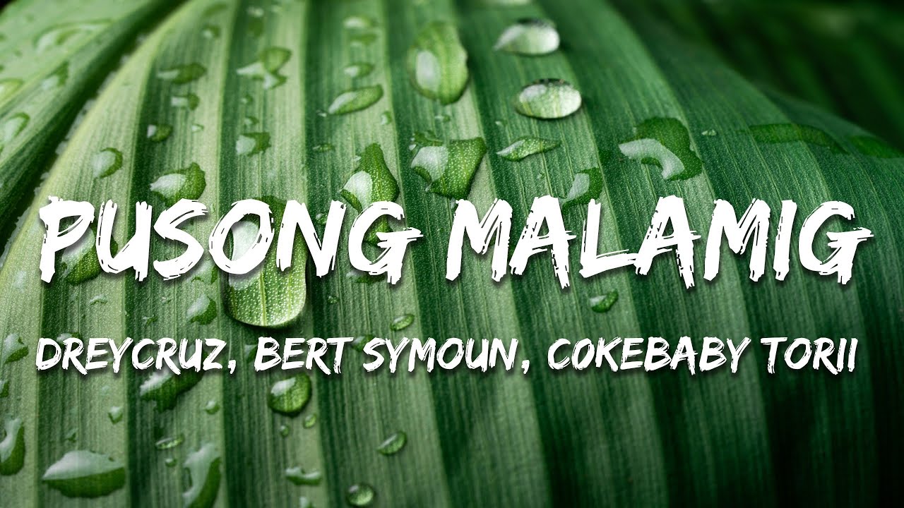 Dreycruz, Bert Symoun, c0kebaby torii - Pusong Malamig  (Lyrics)