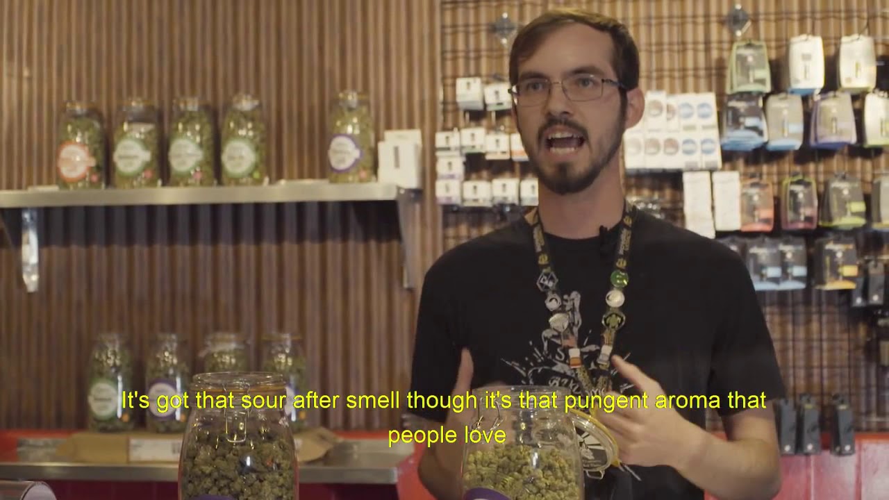 Are LED Grow Lights The Future of the Commercial Marijuana Industry?