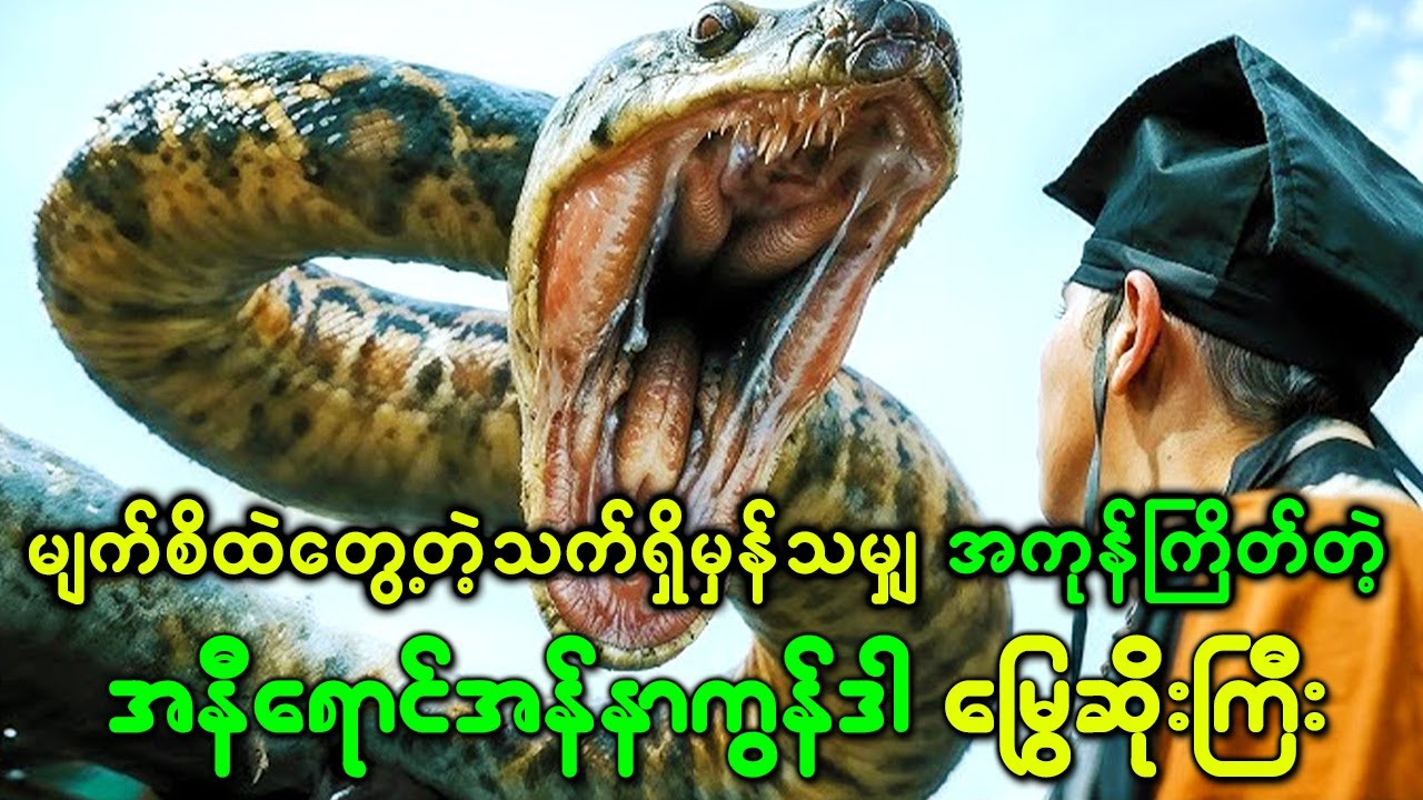 မျက်စိထဲ တွေ့တဲ့ သက်ရှိမှန်သမျှ အကုန်ကြိတ်တဲ့ ဧရာမ မြွေကြီး