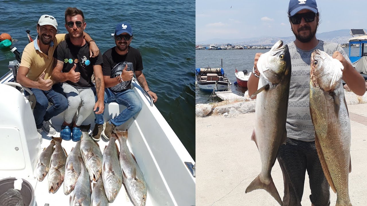 CANLI İSTAVRİT İLE GRANYÖZ VE KOFANA AVI😎REKOR SIRTI KARAYI TEKNEYE ZOR ALDIK #jewfish #bluefish