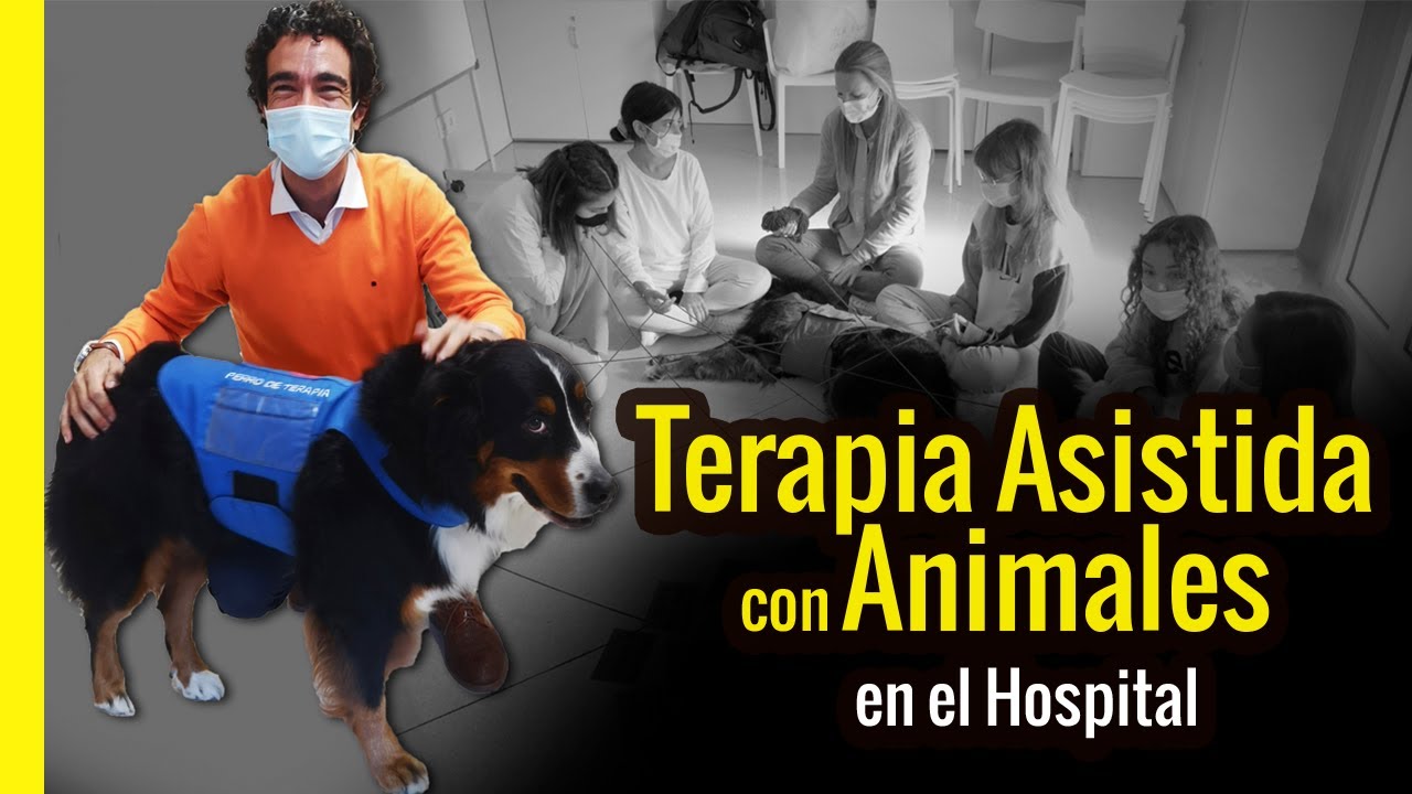 🔶 Sesión de TERAPIA ASISTIDA con PERROS🐕‍🦺 en un Hospital | Terapia Animal