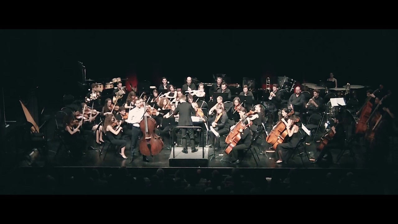 Concerto Contrebasse n&deg;2 en Si mineur 1er mvt - G. Bottesini - Yann Dubost - Orchestre Sortil&egrave;ge
