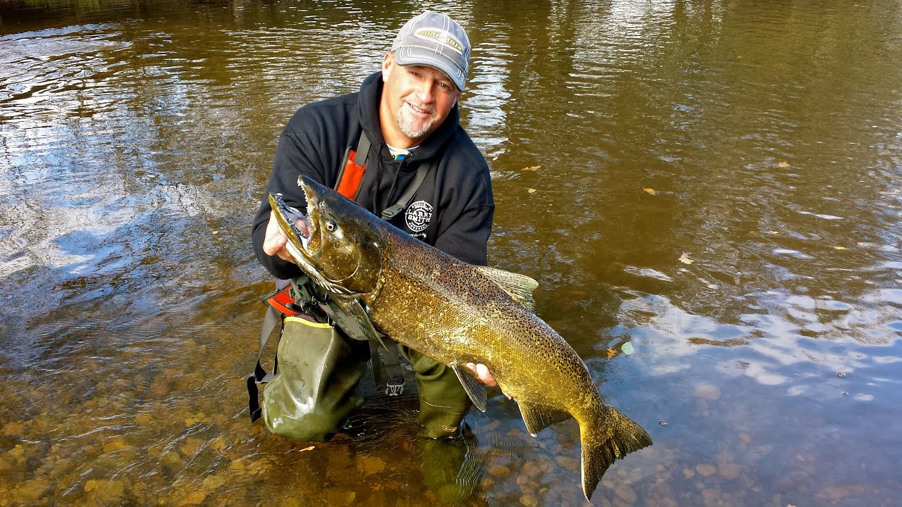 Larry Smith Outdoors - Fall King Salmon at River Wildlife