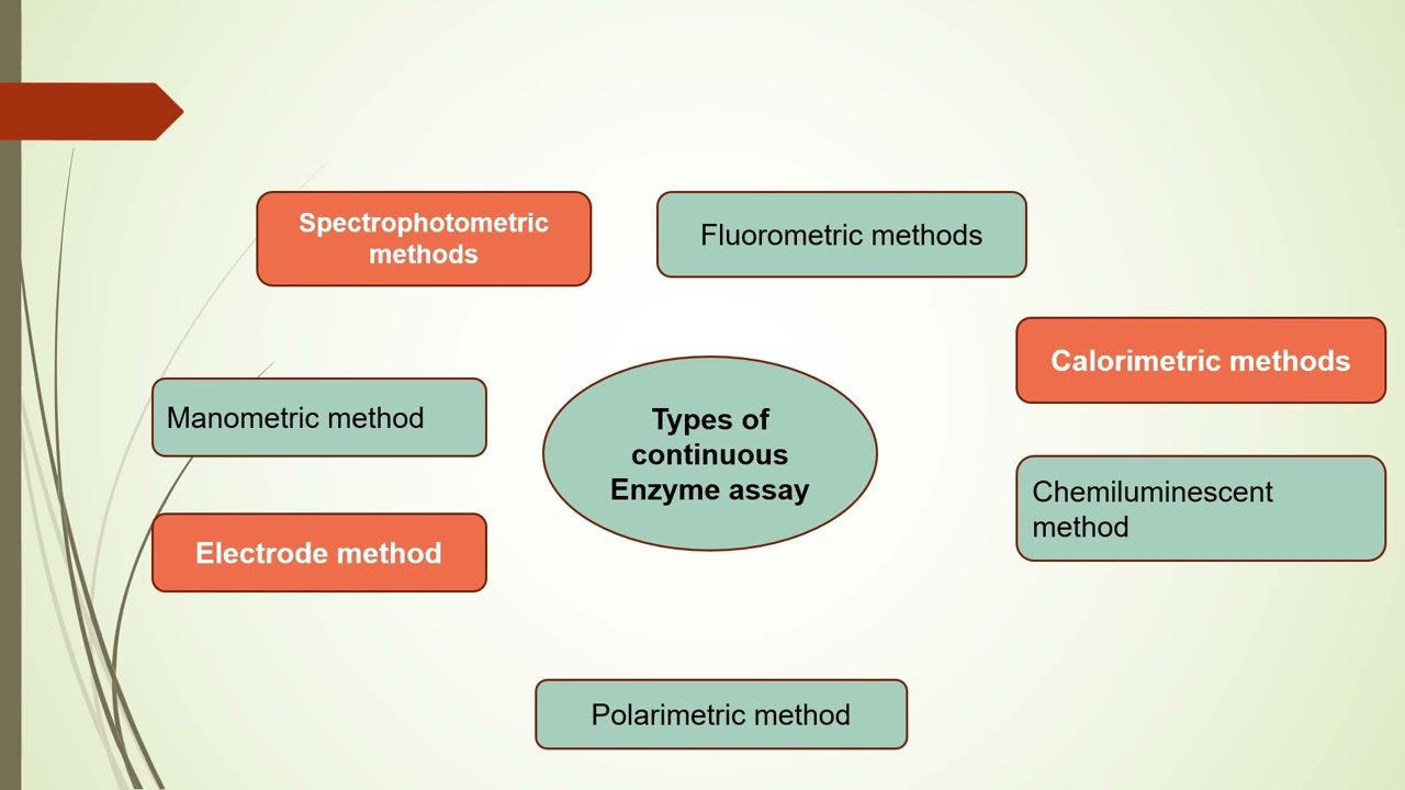 Enzyme Assay