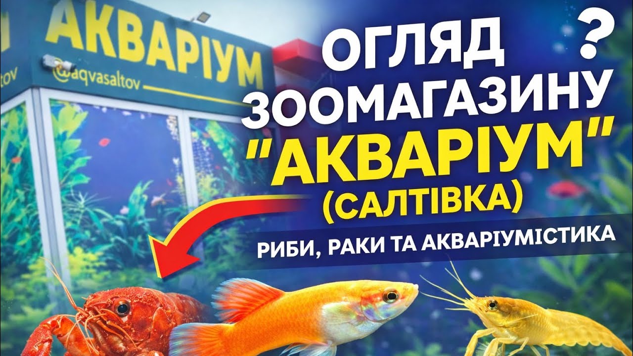 Огляд зоомагазину “Акваріум” (Салтівка) — риби, раки та акваріумістика