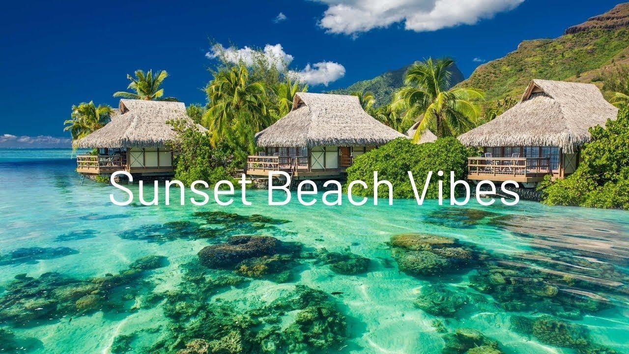 Lo-Fi Beats to Relax & Study 🌊 Sunset Beach Vibes (1 Hour)
