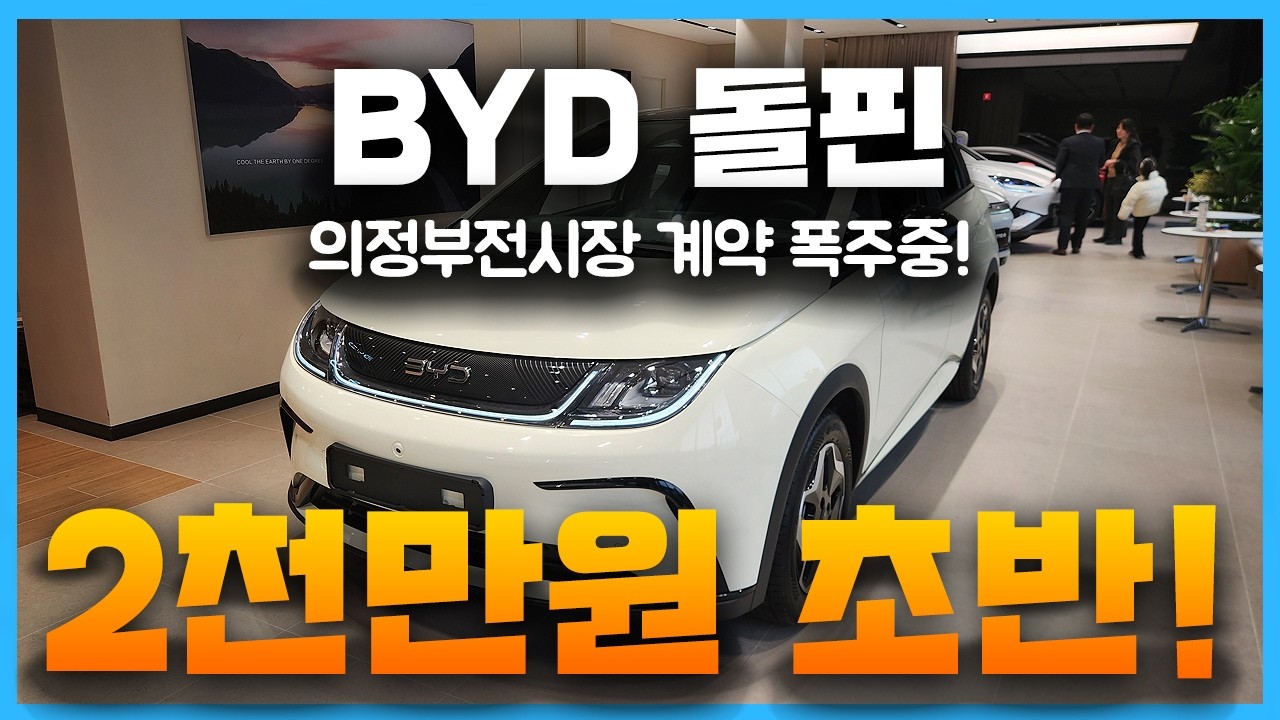 BYD 돌핀 계약 폭주중! 출퇴근용, 세컨카, 첫차 끝판 왕! 시장 파괴하러 왔습니다..