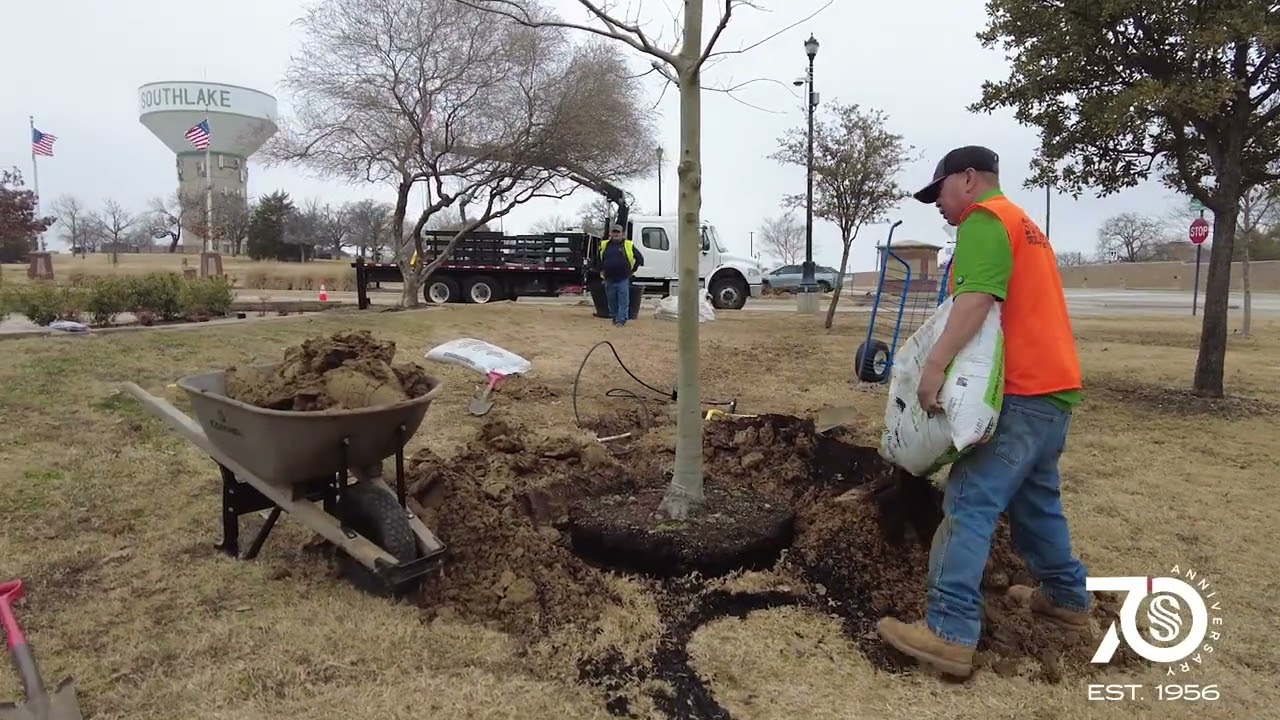 SLK City Spotlight - Southlake's 70th Anniversary Tree Initiative - February 9, 2026