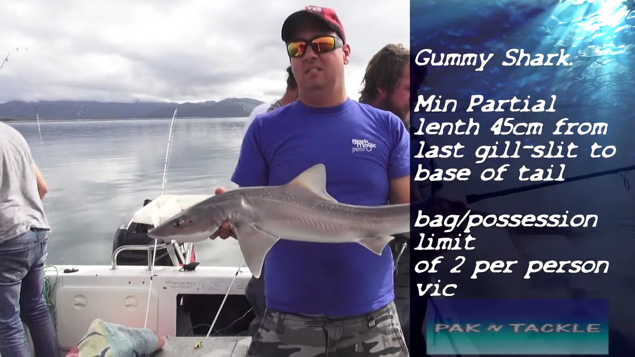 Oz Fish TV - Flinders Island Insane Fishing