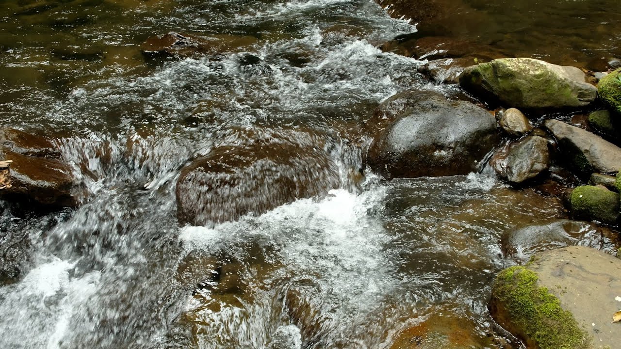 Rural Nature Relaxation | Flowing River & Birds Chirping