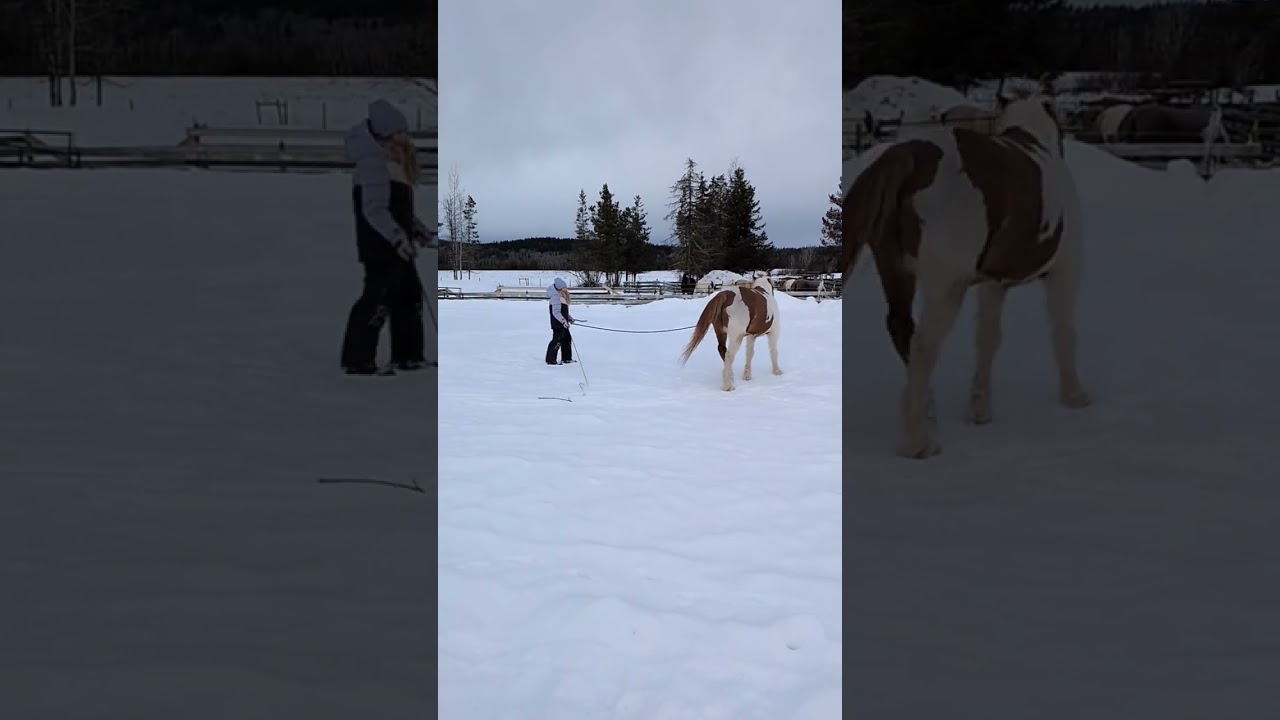 a kid on a mission ❤️ 