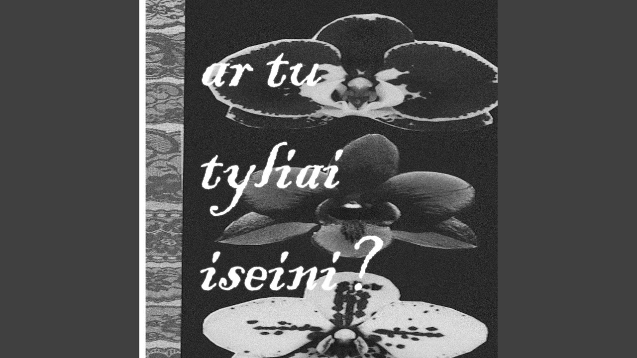tyliai iseini