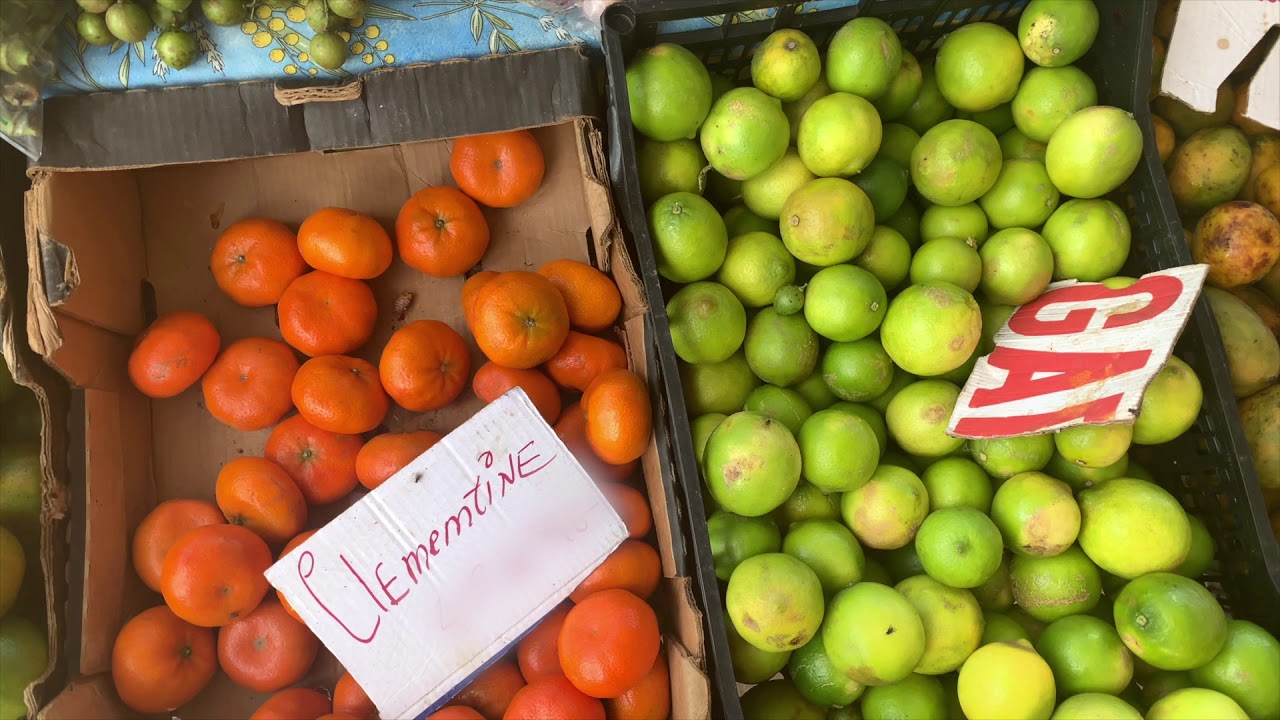 #RemarkableFrance - SAINT PIERRE DE LA MARTINIQUE