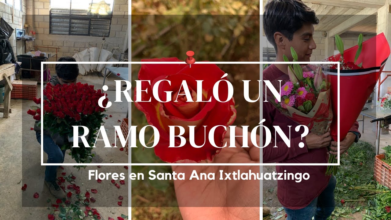 Santa Ana Ixtlahuatzingo  (Santa Ana) producción de rosas 14 de febrero, Tenancingo EDOMEX T1|C7