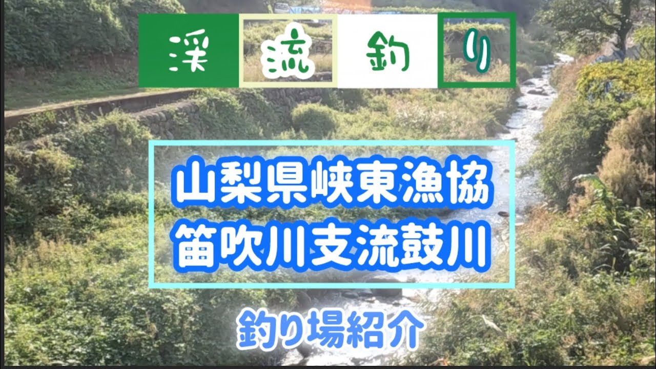 【山梨県笛吹川水系鼓川】夏前に狙いたい小河川