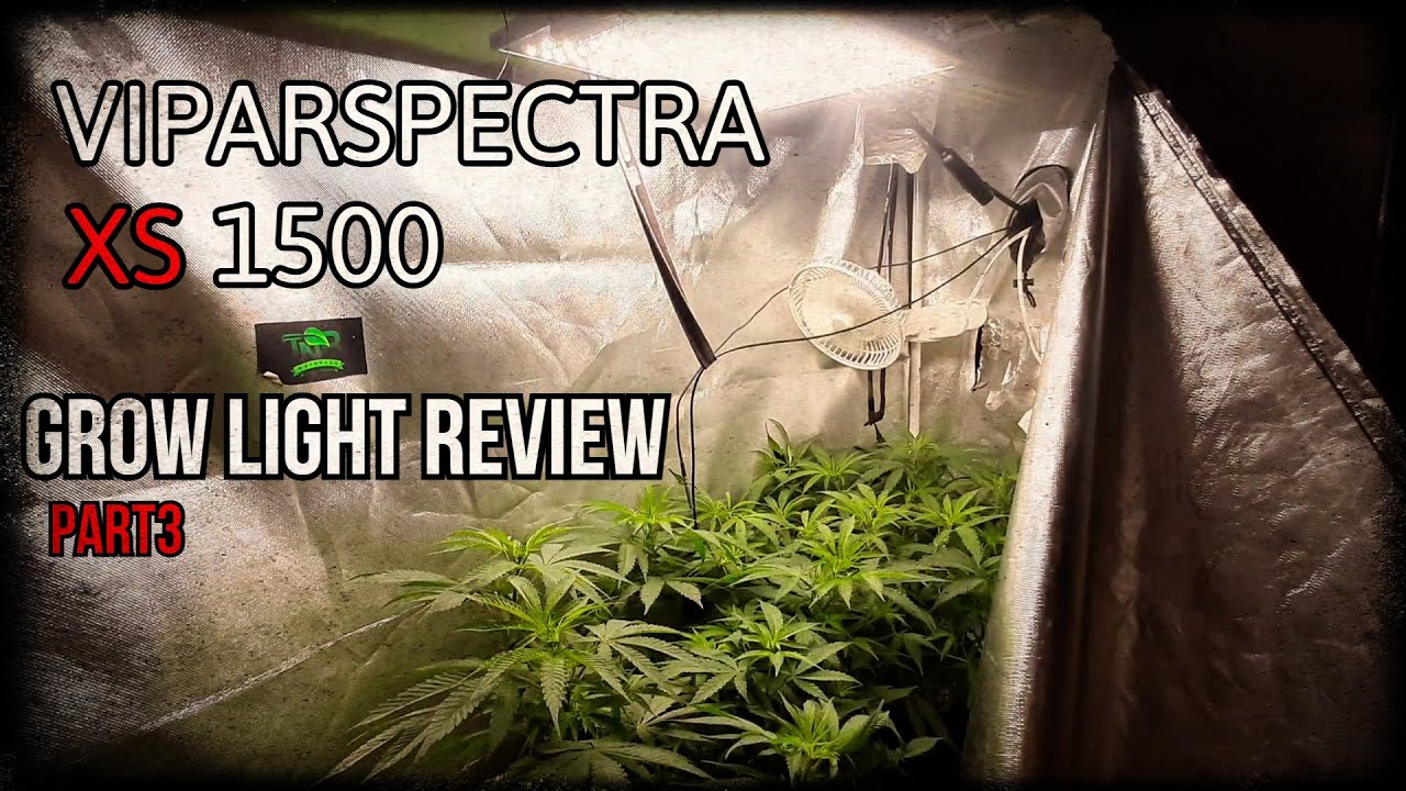 Viparspectra XS 1500 Review || how good does it work? || part 3
