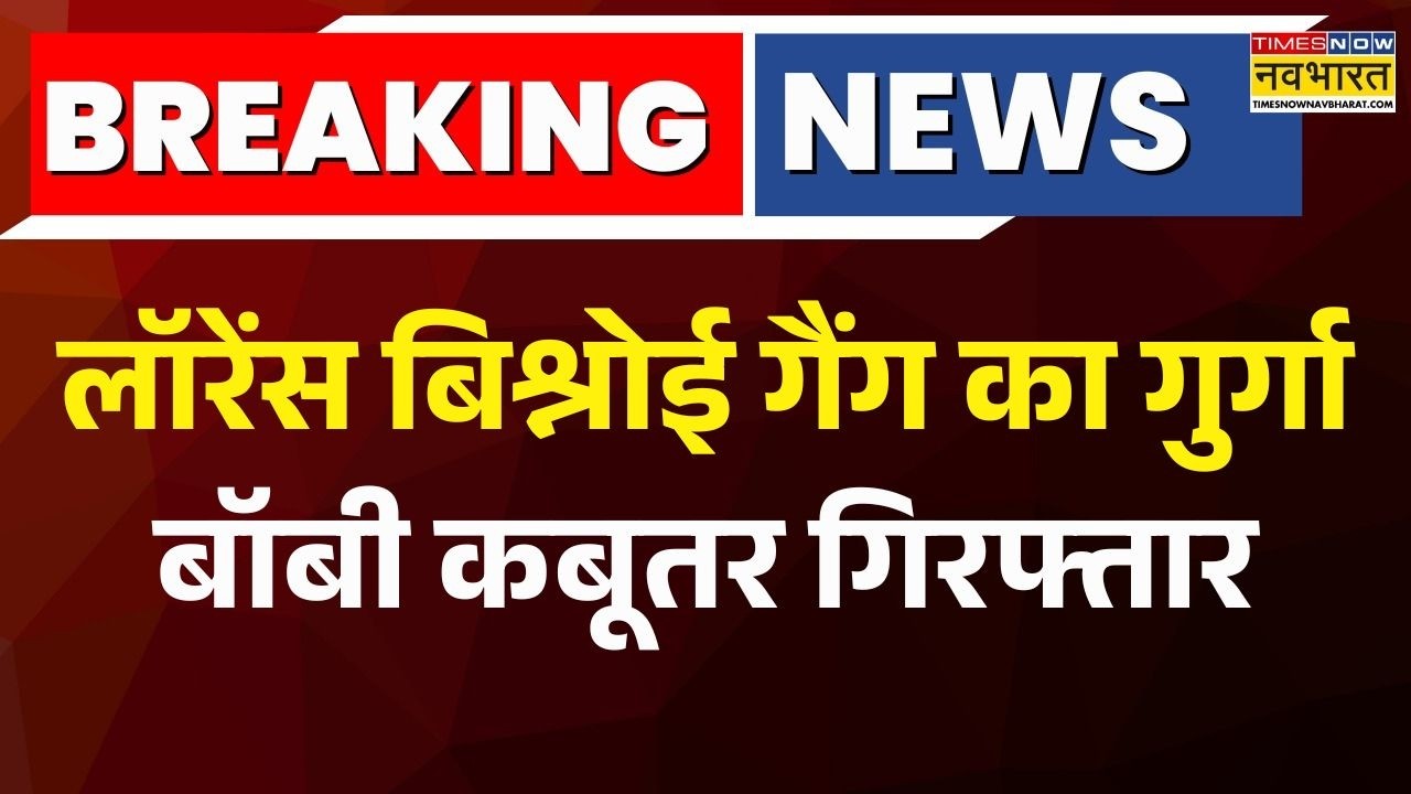 Breaking News | Lawrence Bishnoi गैंग का गुर्गा बॉबी कबूतर गिरफ्तार | Bobi Kabootar | Hindi News |