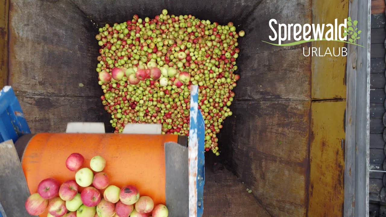 Wie kommt der APFEL in die FLASCHE?!