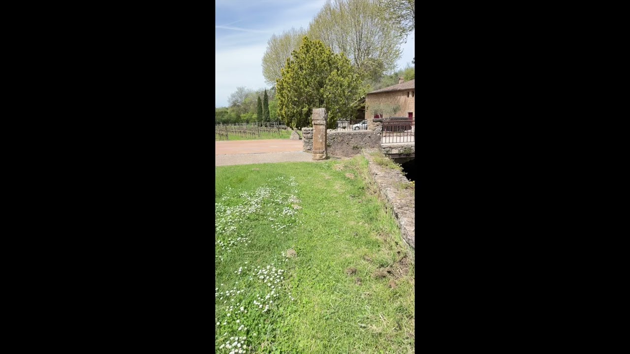 The stream has some water in it once again!