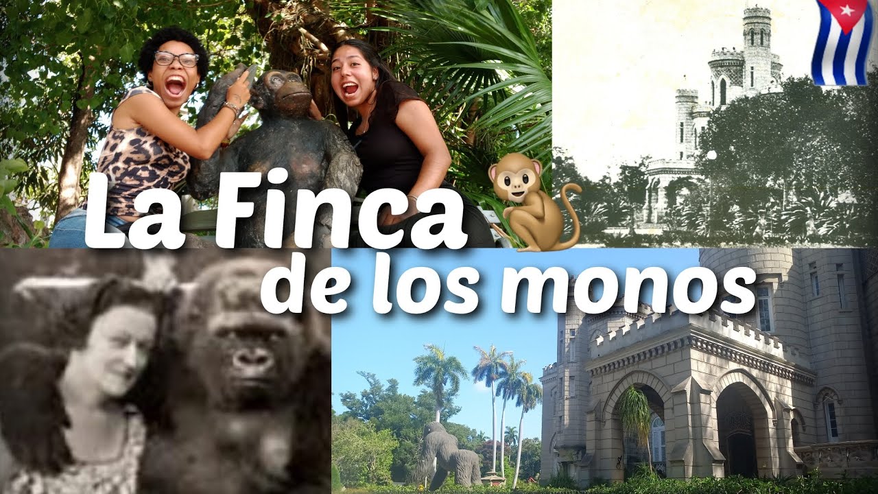 ASI ESTÁ HOY La Finca de los Monos🦧🇨🇺 VALE LA PENA?| NaoCubita ♡