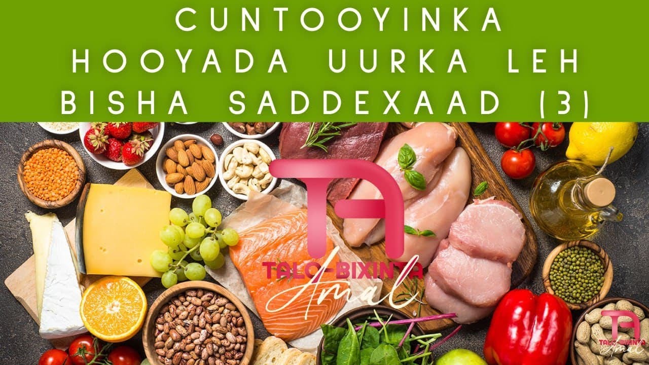 Cuntooyinka Hooyada Uurka leh Bisha 3-aad