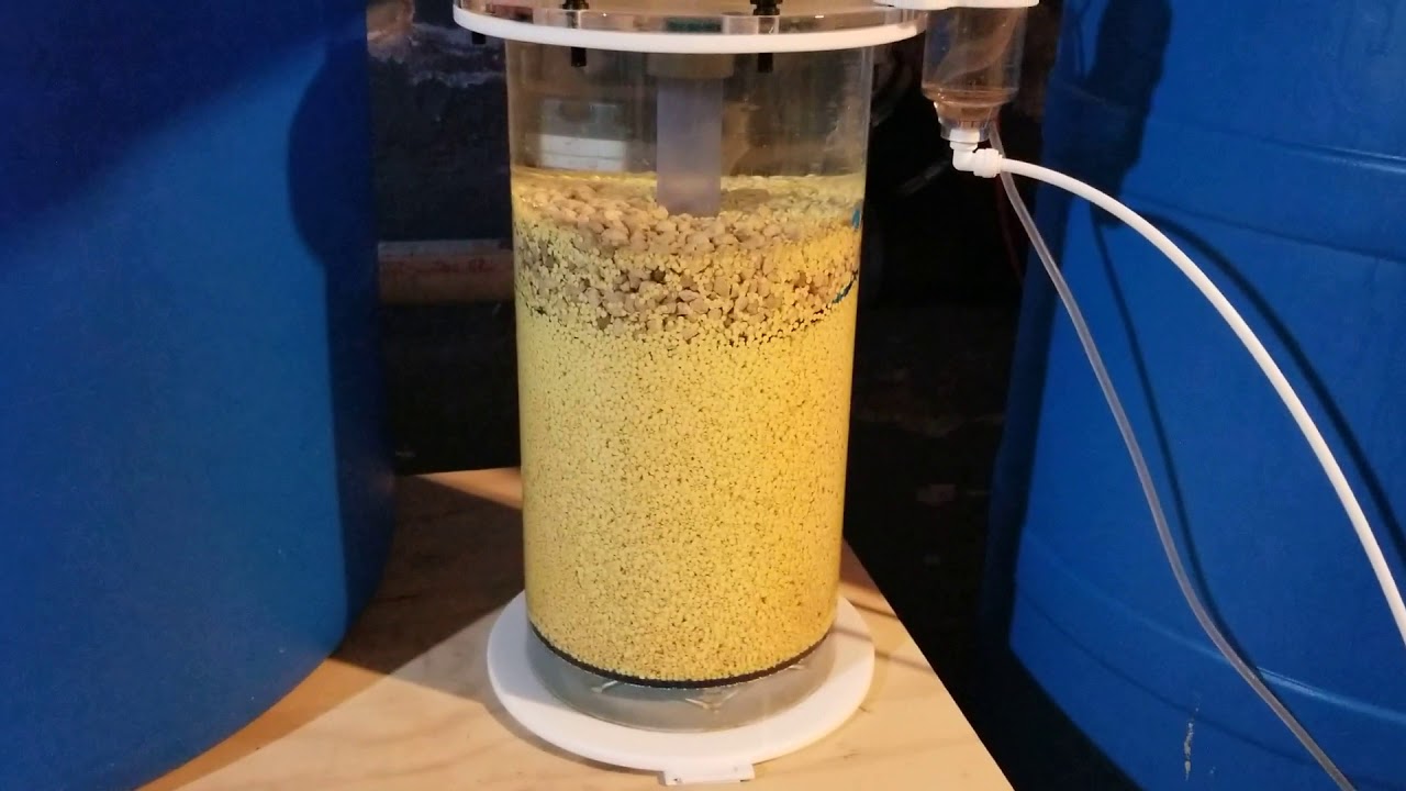 Lower nitrates The best  How to lower your nitrates  video