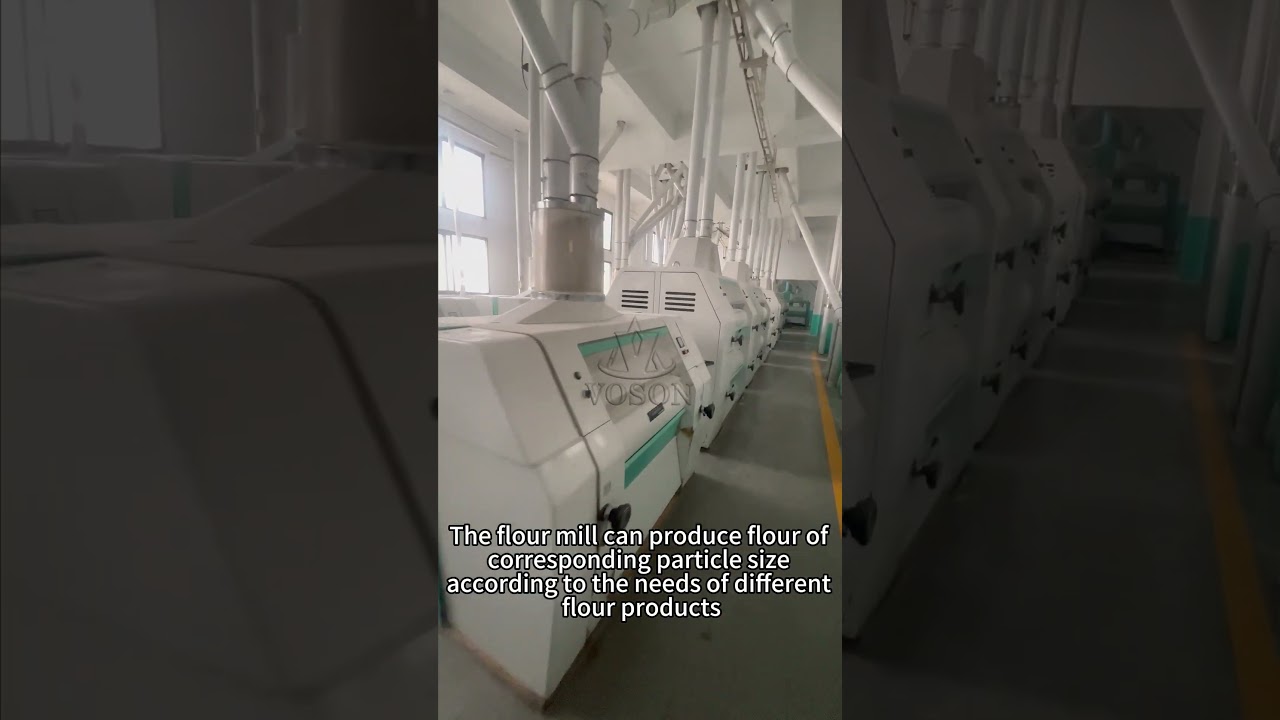 Wheat Flour Milling Line | Complete Wheat Flour Production Process