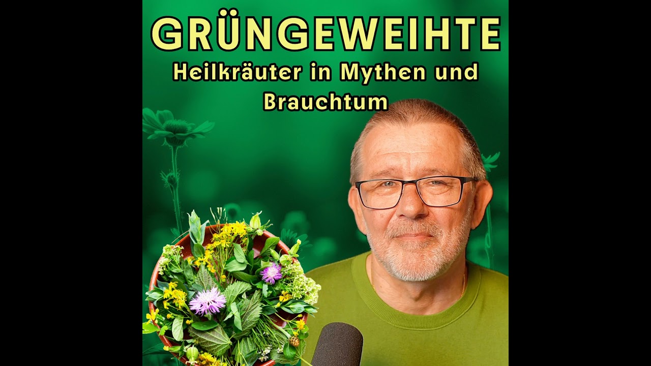 🌿Holunder – Schwellenbaum, in dem die guten Geister wohnen | Grüngeweihte Pflanzen🌿