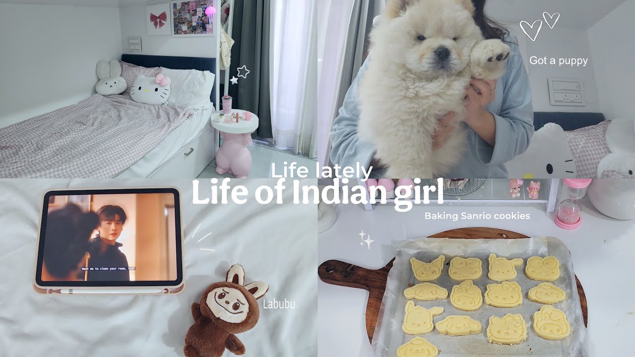 Indian girl vlog 🧸 got a puppy, baking Sanrio cookies, cooking, unboxing | aesthetic life in india