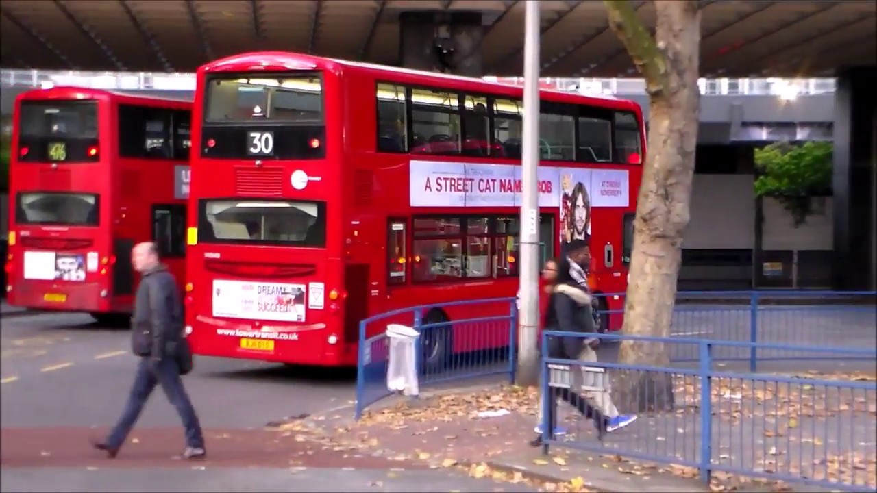 Buses at Euston 03/11/2016