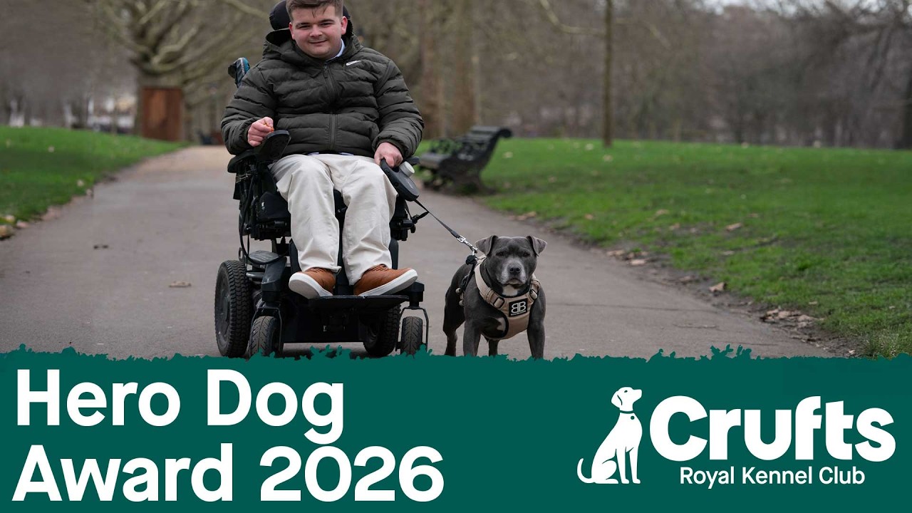Nagroda Bohaterskiego Psa Kennel Club | Crufts 2026