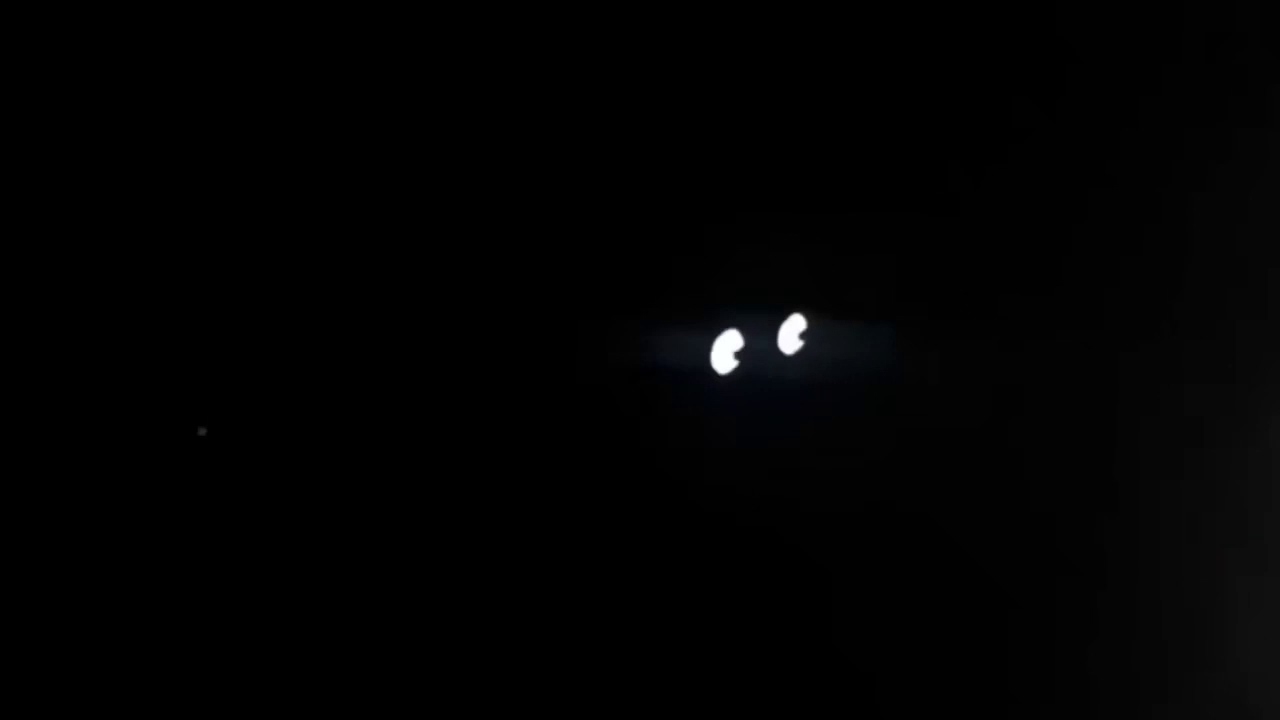 Eyes in the Dark Compilation 9