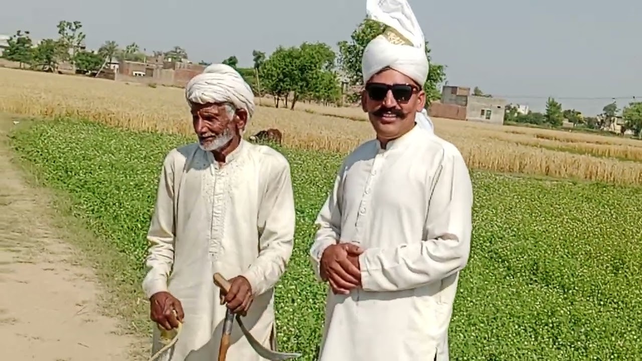 دیکھو سجنوں میرے گاؤں کی سادہ زندگی کے ماحول