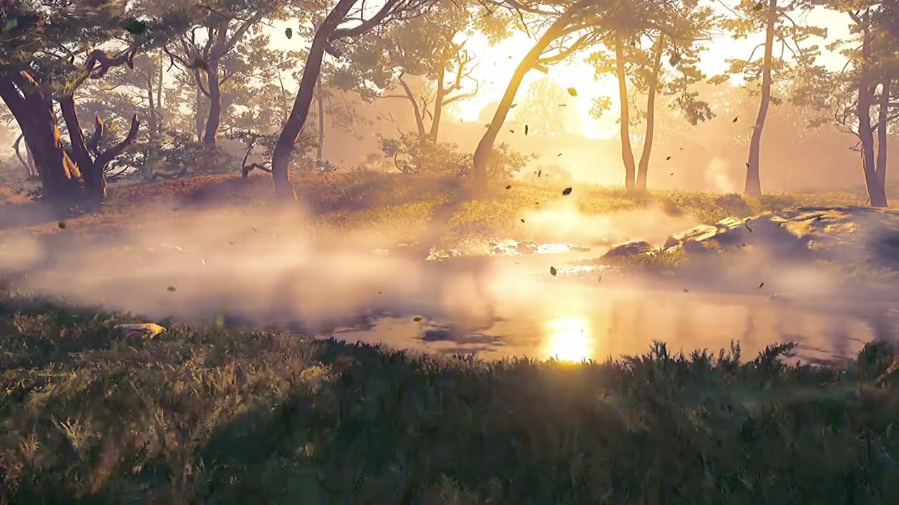 Relaxing Ambience Music - Misty Forest