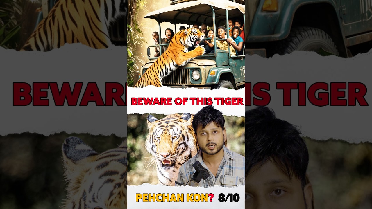 Who 🤔 is the World's most Popular Tiger? 🐯 | Bandhavgarh Tiger reserve forest