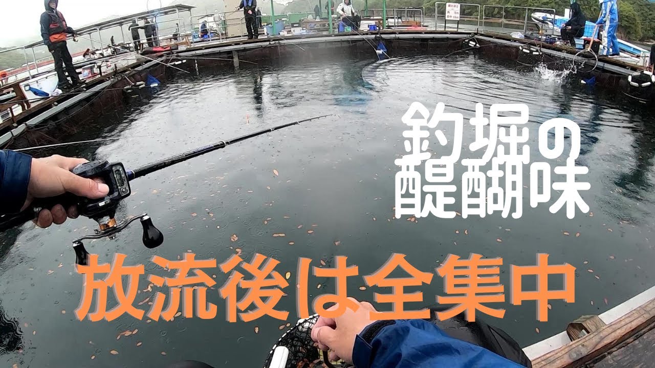放流後は熱い！釣堀の醍醐味【あなたに逢い鯛。釣り堀】