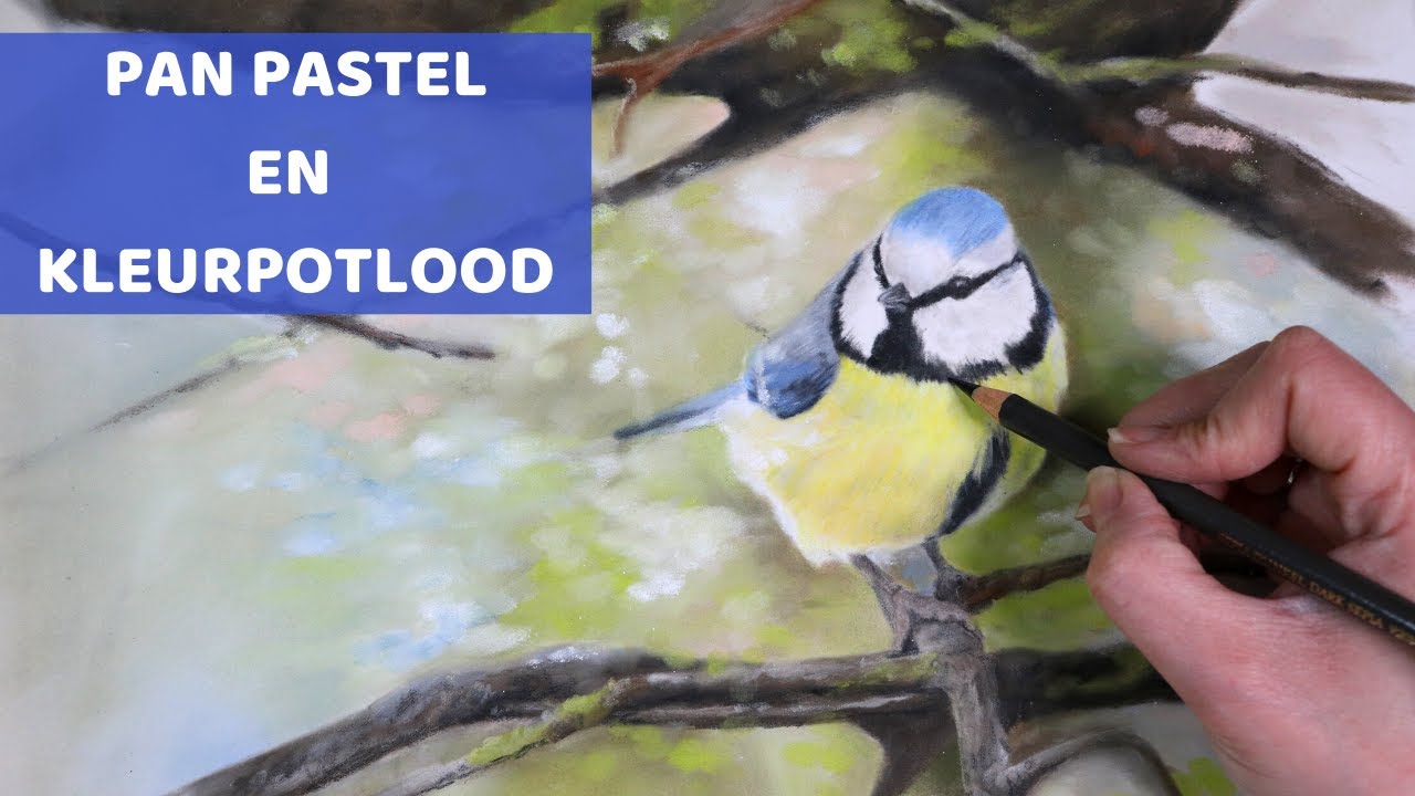PAN PASTEL en kleurpotlood 🤩| LEREN TEKENEN voor beginners
