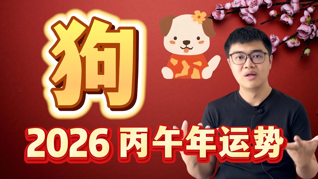只要愿意表现，就能平步青云的小狗狗? | 2026 丙午年12生肖运程