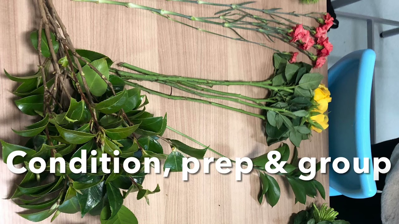 Symmetrical arrangement