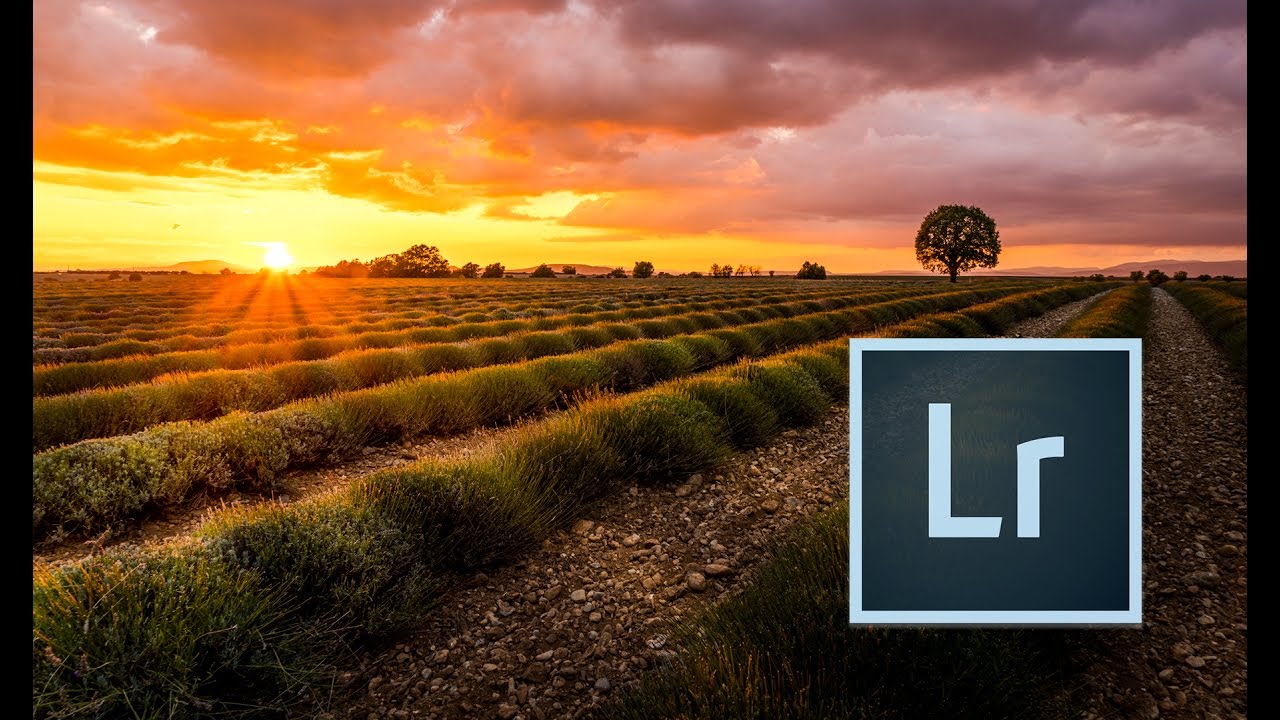 Sunset Photography Tutorial - Beautiful Fields in France!