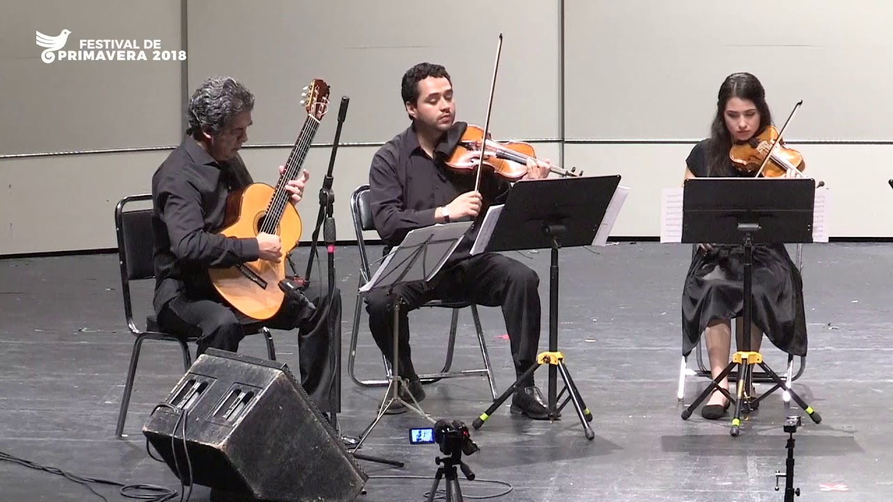 Concierto de Juan Carlos Laguna en el XVIII Festival de Guitarra 2018. Parte 2/2 (06 Marzo 2018)