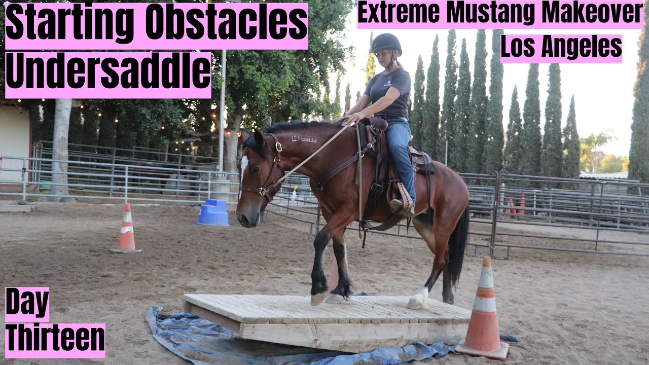 Starting Obstacles Undersaddle | Los Angeles Extreme Mustang Makeover