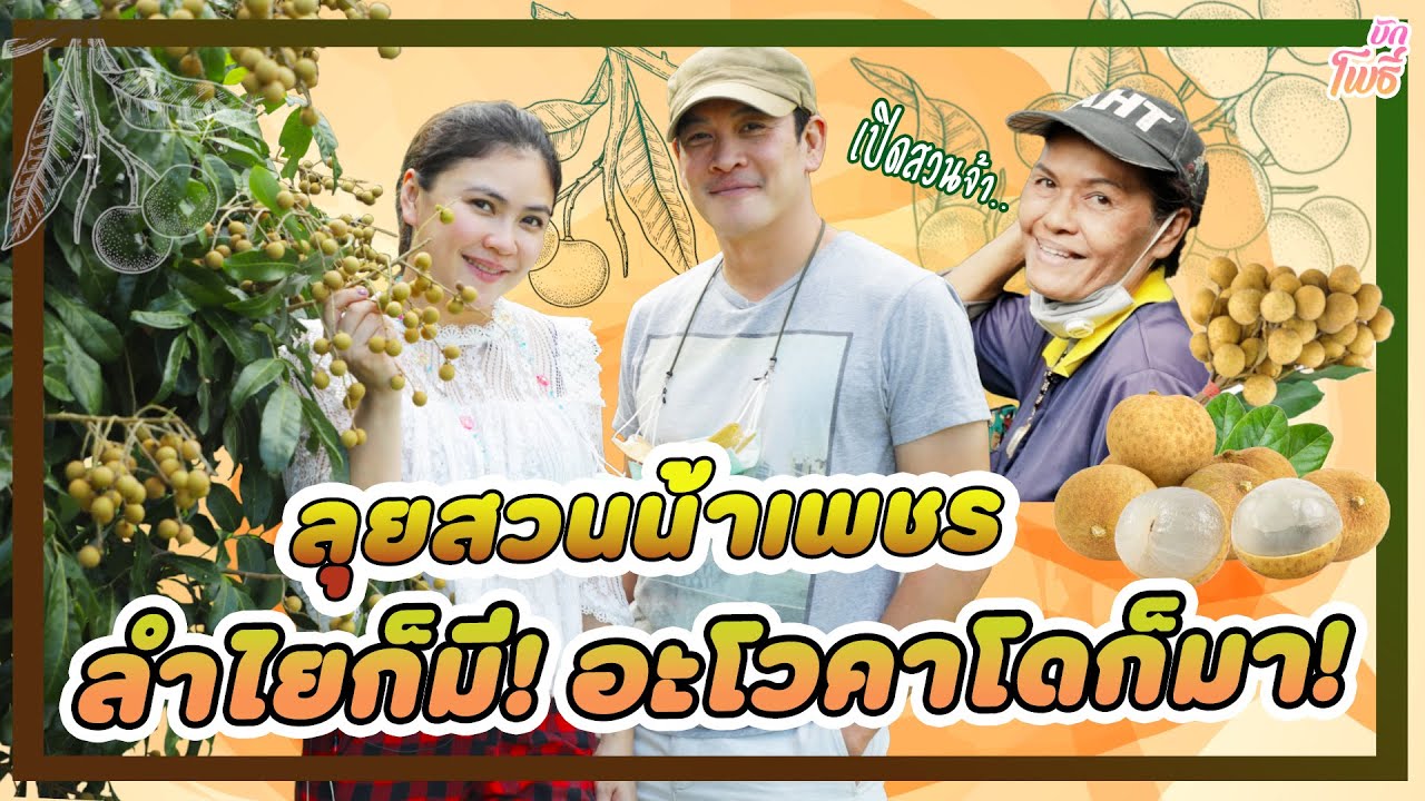 ลำใยก็มี! อะโวคาโดก็มา! I คริตอินสวน