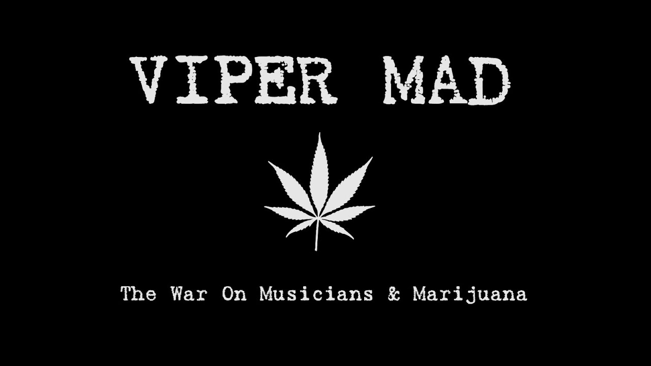Viper Mad