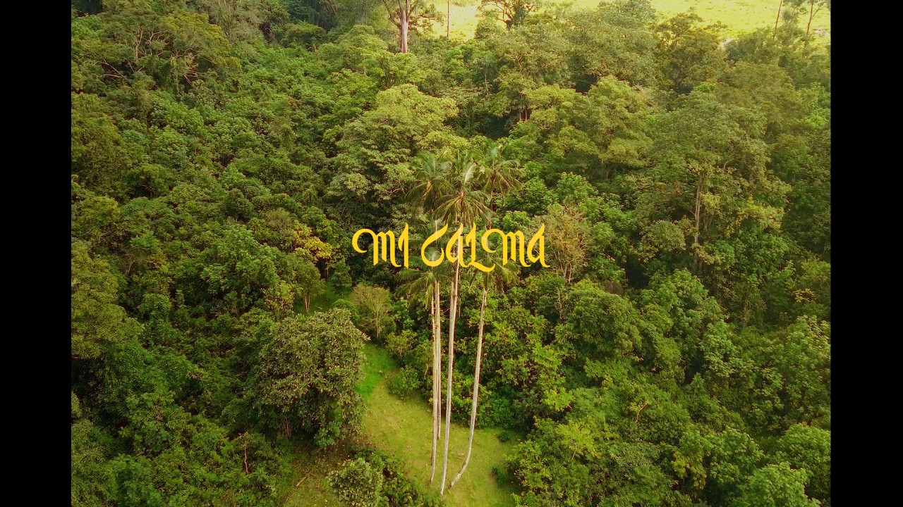 MI CALMA - JEY EX & YERIT BEATS (VIDEO OFICIAL)